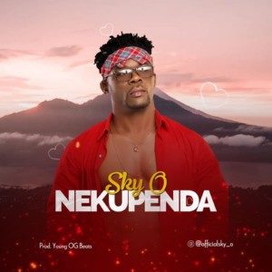 SKY_O-Nekupenda-Artwork