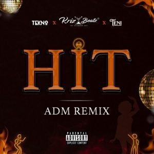 krizbeatz-tekno-teni0Ahit-adm-remix5577138215705009498.-1536×1536-1-750×750-1-300×300-1