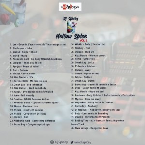 dj-spicey-mixtape-volume-2-BACK-01-scaled-1